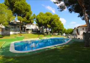 Lago Piscina Torrevieja